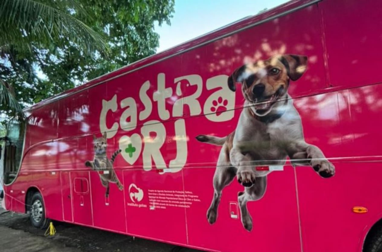 Jacarepaguá: Alerta para castração gratuita de pets inicia agora Jacarepaguá: Alerta para castração gratuita de pets inicia agora